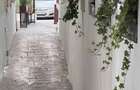 Herastrau Inchiriez Cafe Bistro Birouri  terasa Bucatarie Parter vila 180 mp - 4