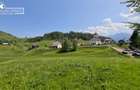 Oportunitate Unică: Teren Intravilan de 4073 mp cu Vedere către Munții Bucegi - 2