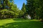 Lakefront Estate | 3.000 mp Teren | Ponton Privat | Snagov - 23