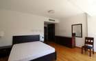 Kiseleff, apartament 3 camere - 9