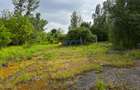 Teren industrial sau comercial 3000 mp Zagujeni - 4