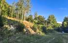 Teren intravilan de vanzare in padure Cisnadioara - 10