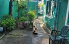 Casa individuala cu 3 camere Ferentari- Trompetului - 2