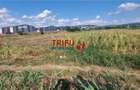 Teren intravilan 5.756 mp cu acces direct la Șoseaua de Centură – Alba - 4