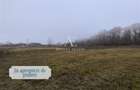 Antony Estate | Vanzare Teren Intravilan,40 euro/mp,Paleu,Oradea - 4