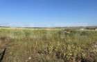 Teren intravilan, suprafata 11.500 mp, zona Marghita - 1