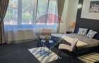 Apartament cu 2 camere de închiriat în zona P-ta Romana - 12