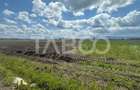 Teren intravilan PUZ aprobat 9000 mp Comision 0 zona industriala vest - 3