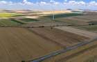 Vând teren agricol la șosea de 30.000mp în Iazurile comuna Valea Nucarilor 