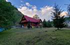 CABANĂ DE VÂNZARE ÎN ROMULI, BISTRIȚA-NĂSĂUD