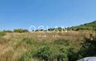 Teren constructii Gusterita Viilor, priveliste panoramica. - 6