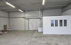 Hala 300 mp in Parcul Industrial Roman pt. productie, depozitare, servicii - 2