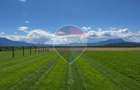 Oază de liniște și panoramă spectaculoasă: Teren intravilan de 1.200mp - 2