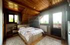 Casă de vacanță, de vânzare, pretabilă locuință sau afacere hotelieră - 13
