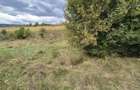 4 ha Drăghici–Mihăești | 3 ha teren + 1 ha pădure | asfalt |toate utilitățile
