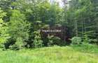 Teren intravilan de vanzare in Sinaia - Zona Furnica - 4