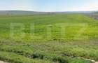 Teren intravilan, 1900 mp, deschidere 13.16 ml, toate utilitatile, Isalnita - 1