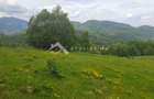 Investitie Teren intravilan 11.396 mp Moieciu de Jos - 6