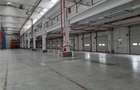 Spatiu Industrial - 5000 mp - Logistica - Depozitare - Distributie - 23