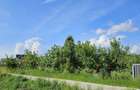 Teren intravilan de vânzare | 938 mp | Front stradal 36 ml | Sânpetru, Brașov - 3