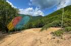 Teren 2200 mp, intravilan, zona Somesul Rece - 3