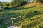 casa de vanzre Visinelu Mures - 10