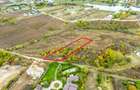 Teren 3000 mp în Snagov – zonă in dezvoltare, aproape de pădure - 3