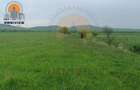 Teren intravilan Dobolii de Jos 47.700 mp | PUZ+autorizație | POT 50% - 6