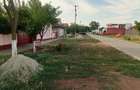 Vanzare Casa in localitatea Bodrogu Nou - 8