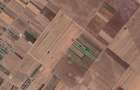Teren Extravilan In Rate Primaverii Com. Berceni | 4.973mp | #EG39 - 1
