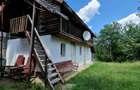 Balilesti - Stradal, casa spatioasa, 4600 mp teren intravilan - curte spatioasa - 2