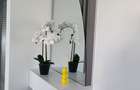 De inchiriat apartament cu 2 camere la Papadie, etaj 3, renovat, 550 E - 18