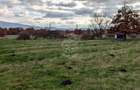 Teren intravilan 800 mp-ideal casa, investitie-Zona Dr. Dumitrei - 2