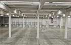 Spatii Industriale - 10000 mp - Logistica - Productie - Depozitare - Distributie - 12
