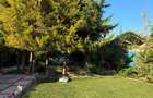 YSAIA IMOBILIARE - CASA DE VANZARE - TEREN 330 MP - ZONA LINISTITA - - 3