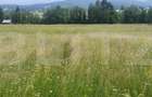 Teren 10.000 mp, intravilan, zona Neagra Sarului - 1