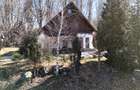 Casa de vacanta cu teren 2000mp Valea Avrigului - 3