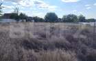Teren intravilan Malu Mare, 1528 mp, deschidere 24 m - 2