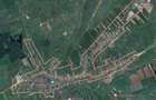 Teren faneata 5.249 mp Livezile, jud. Bistrita Nasaud (licitatie) - 1