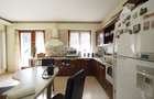 Vila cu 9 camere, 5 bai | D+P+1+M | 416mp teren - 6