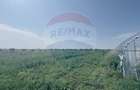 Teren agricol 16.750mp în Cârcea, imprejmuit, cultura capsuni, solarii - 8