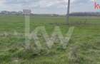 TEREN INTRAVILAN 1000 MP CARCEA - ZONA HANUL CU PONEI - 3