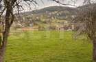 Teren de vânzare 1200 mp situat in Șuncuiuș, zonă cabane – ideal casă de vacanță - 1