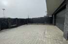 Duplex de vanzare 119 mp, garaj, parcare, teren 300 mp, Iris - 10