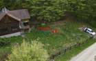 Casă de vacanță la pădure | Teren 891 mp | Valea Ighielului - 6