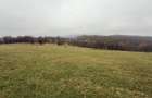 Teren deosebit 3,5HA zona Cisnadioara - 3