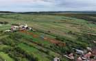 RECO Teren intravilan in Betfia 2000 mp - 2