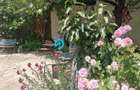 Proprietate rară în Popa Nan – 3 camere | Curte | Gradina - 30