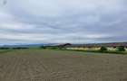Teren Industrial Brasov - Halchiu cu deschidere la DN 13 - 2