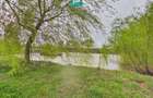 Teren 1 ha cu baltă populată – Alioș (Mașloc) - 8